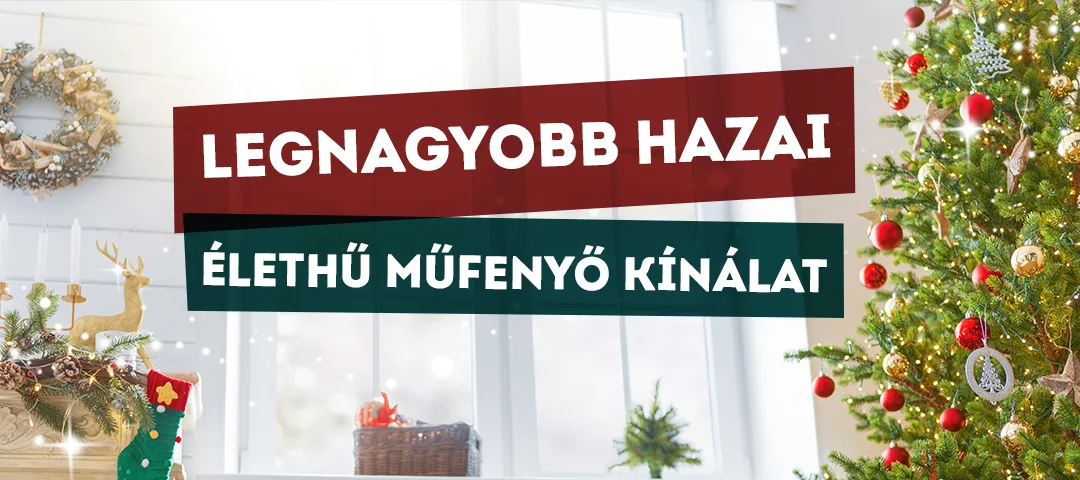 Műfenyők