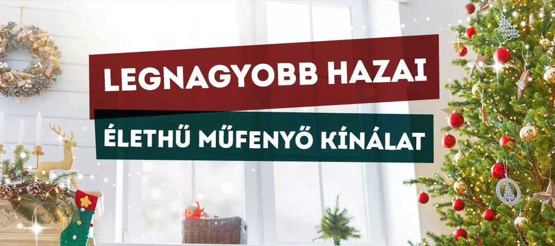 Műfenyők