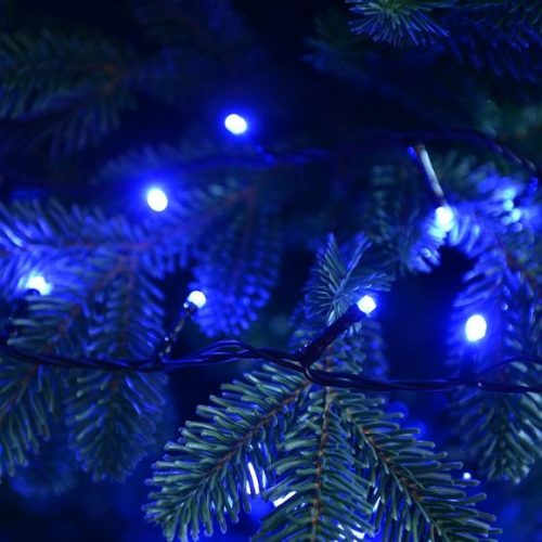 Vezérlős LED fényfüzér - kék 400 cm, 80 LED