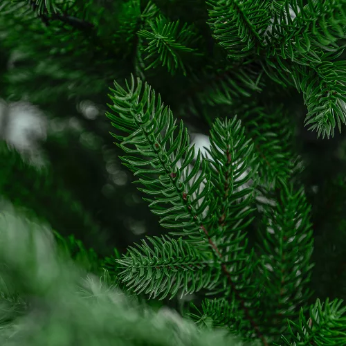 FOREST KING Műfenyő 100 cm, Full 3D