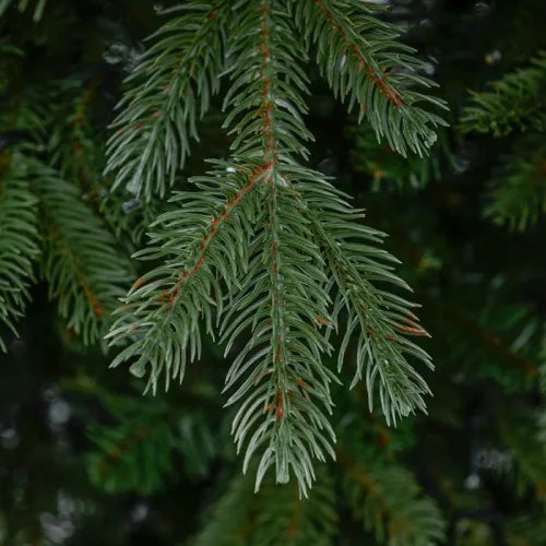 Nightlight Műfenyő 150 cm