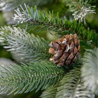 Kevert levelű műfenyő